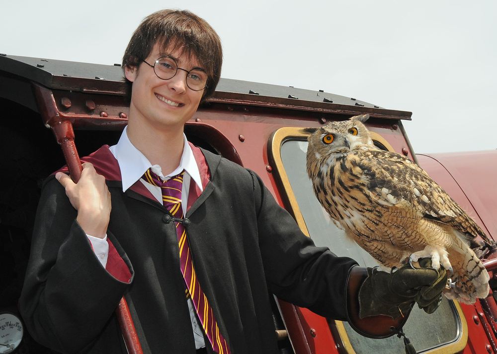 A Harry Potter-themed shoot with an owl aboard a steam train.