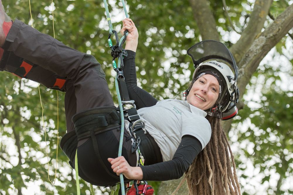 A tree surgeon climbing high into a tree.