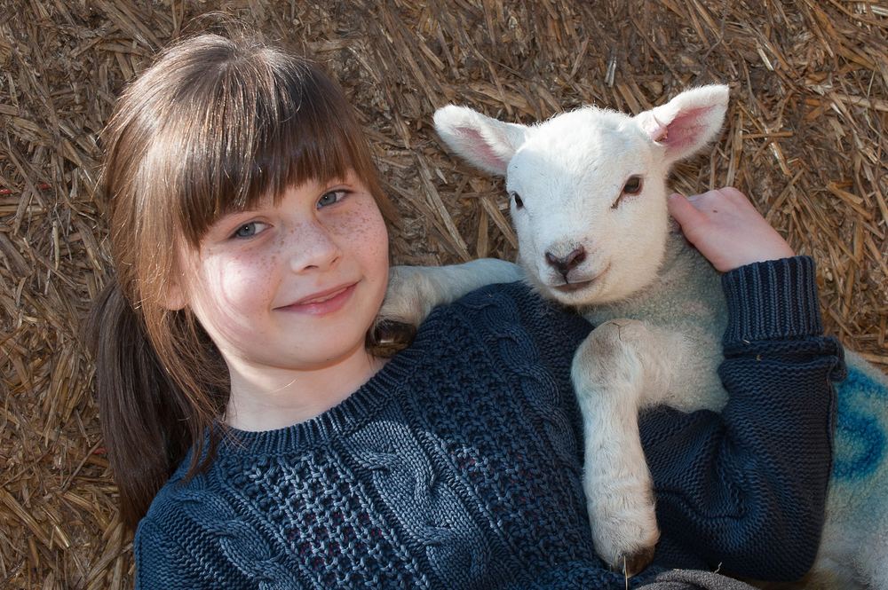 From lambs to loyal companions — pet portraits, whatever the animal.