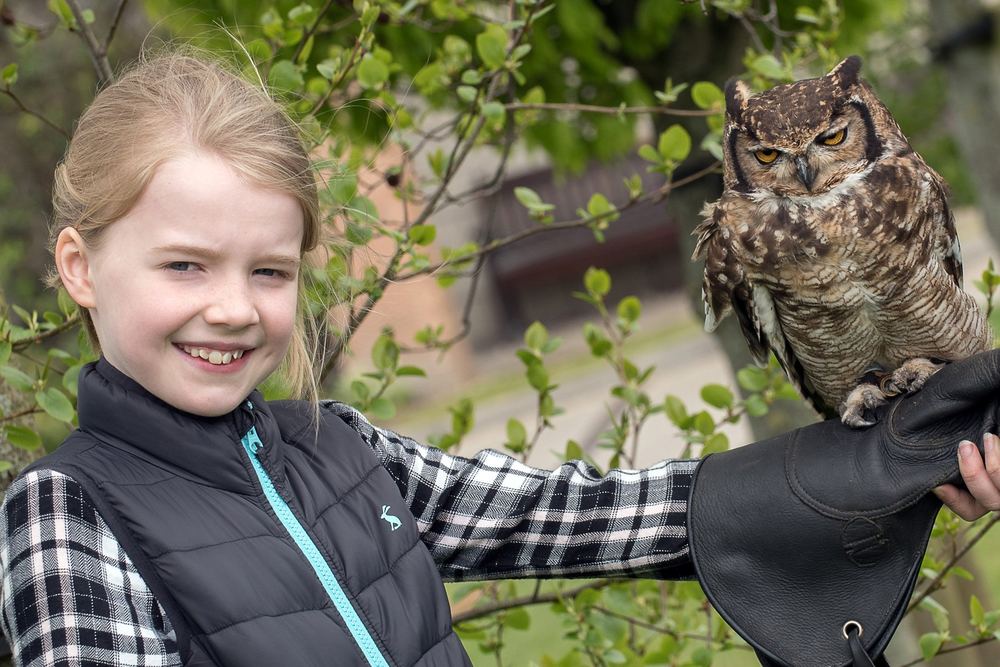 A young girl holds an owl on her outstretched arm.